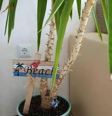 Europe * Gmina Pomorie